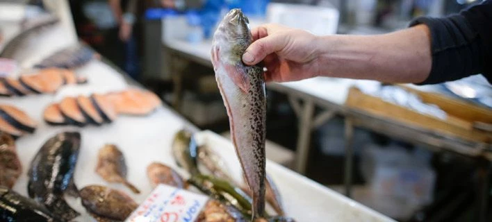 Προσοχή: Μην τα καταναλώσετε – Ανάκληση κατεψυγμένων ψαριών λόγω υδραργύρου